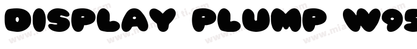 Display Plump W95 Re字体转换